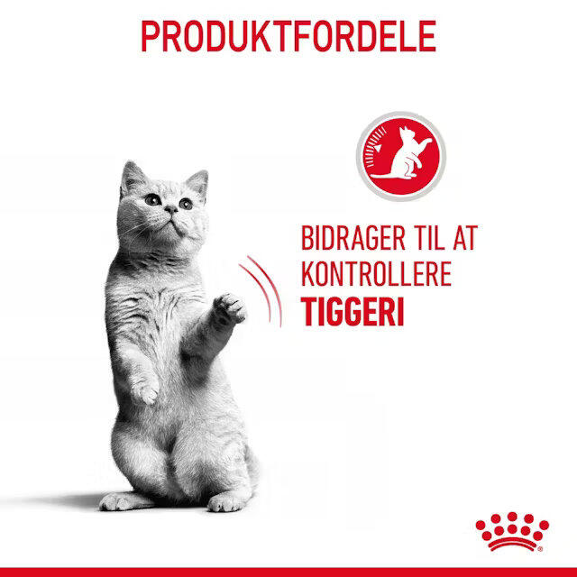 Royal Canin Kat Care Appetite Control 10 kg