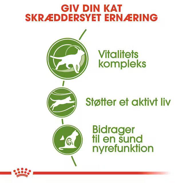 Royal Canin Kat Outdoor 7+ 4 kg