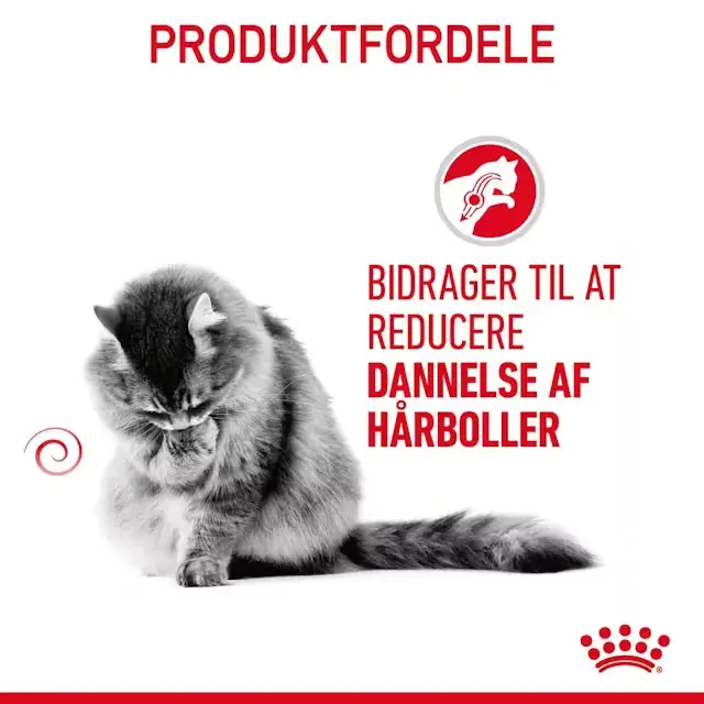Royal Canin Hairball Care Adult tørfoder til kat 4 kg