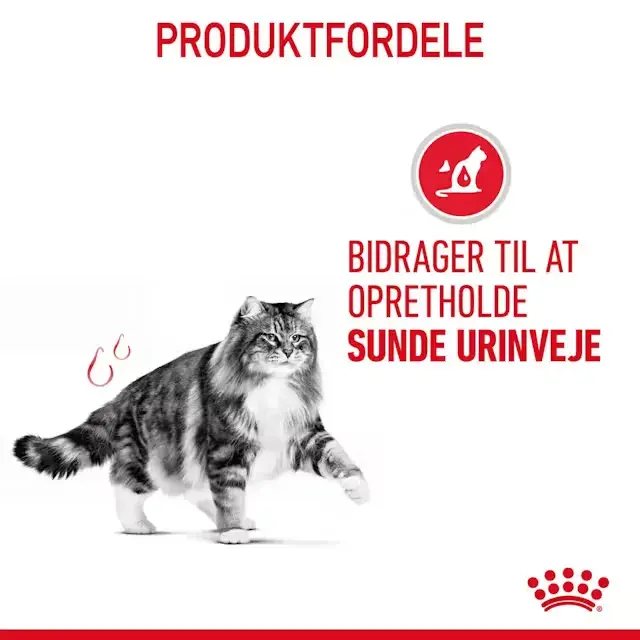 Royal Canin Urinary Care Adult tørfoder til kat 4 kg
