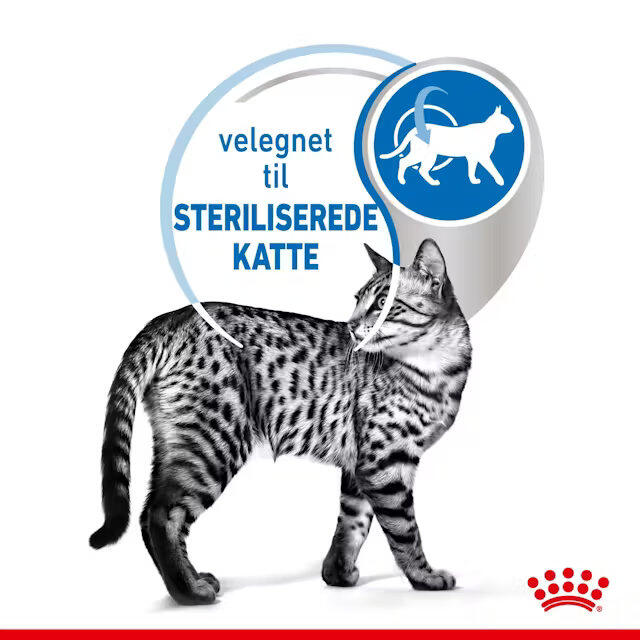 Royal Canin KAT Indoor Jelly vådfoder - Sterilised 12x85 g