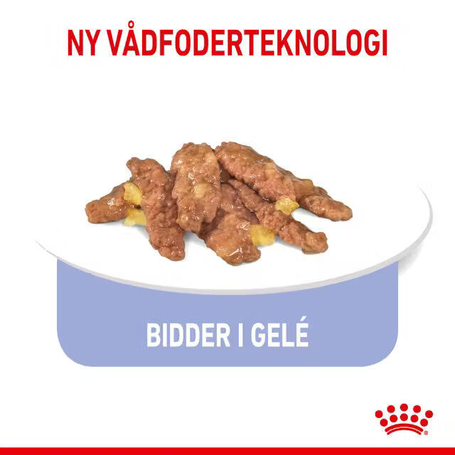 Royal Canin KAT Indoor Jelly vådfoder - Sterilised 12x85 g