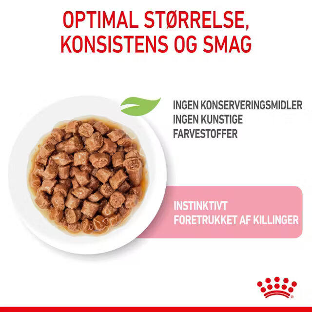 Royal Canin KAT Kitten Gravy vådfoder 12x85 g