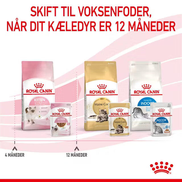 Royal Canin KAT Kitten Gravy vådfoder 12x85 g