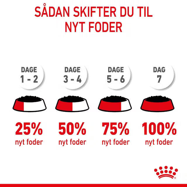Royal Canin KAT Kitten Gravy vådfoder 12x85 g