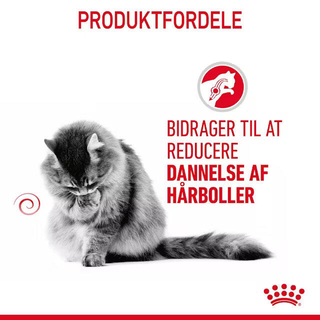 Royal Canin KAT Hairball Care Gravy vådfoder 12x85 g