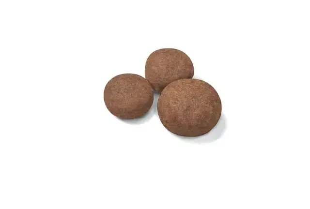 Royal Canin Medium Puppy tørfoder til hvalp, 12 kg