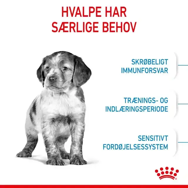 Royal Canin Medium Puppy tørfoder til hvalp, 12 kg