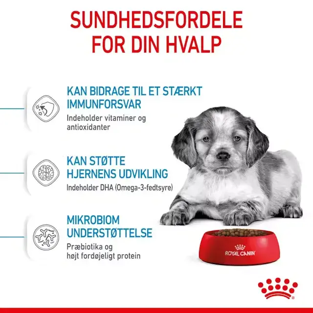 Royal Canin Medium Puppy tørfoder til hvalp, 12 kg
