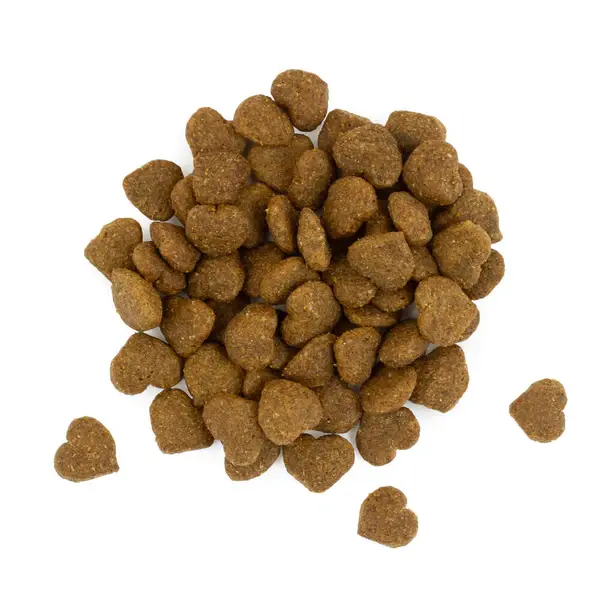 Best Friend Bilanx Sterilized kylling tørfoder til katte, 700 g