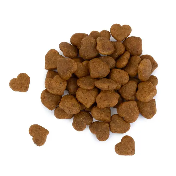 Best Friend Bilanx Adult laks tørfoder til katte, 700 g