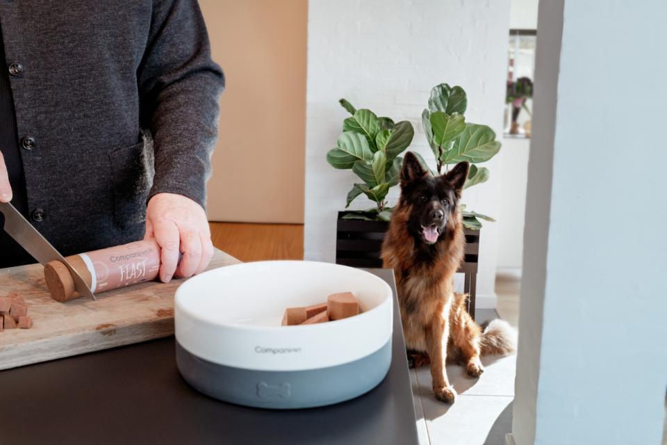 Companion+ FEAST foderpølse til hunde, VILDSVIN 350 g