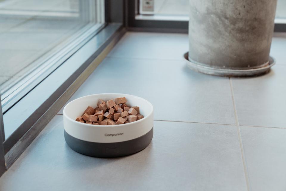 Companion+ FEAST foderpølse til hunde, AND 350 g