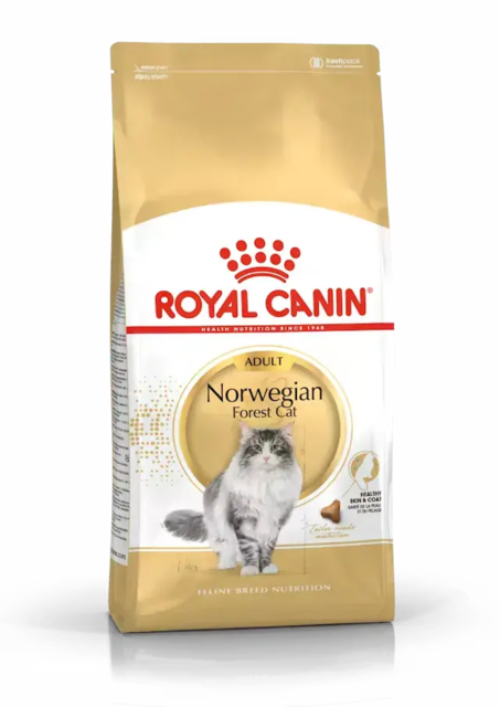 Royal Canin Norwegian Forest Cat / Norsk Skovkat Adult 10 kg