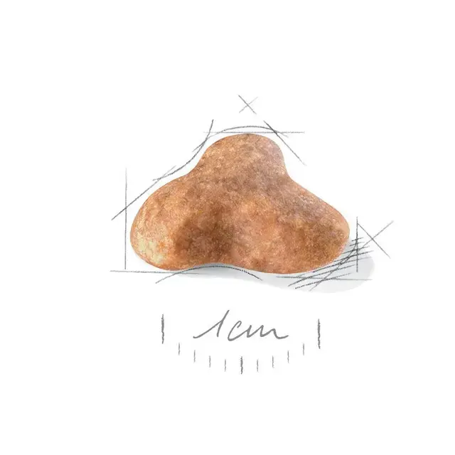 Royal Canin Pug Adult 7.5 kg.