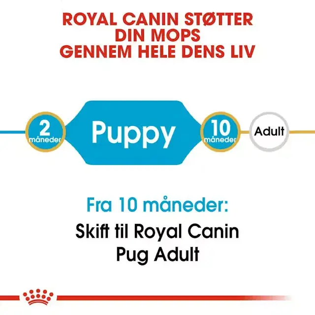 Royal Canin Pug Puppy 1.5 kg.