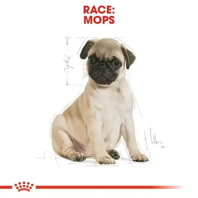 Royal Canin Pug Puppy 1.5 kg.
