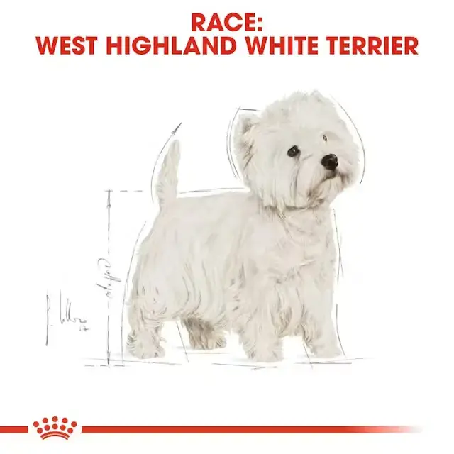 Royal Canin West Highland White Terrier Adult 3 kg.