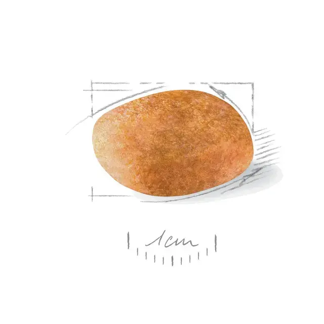 Royal Canin Dalmatian Adult 12 kg.