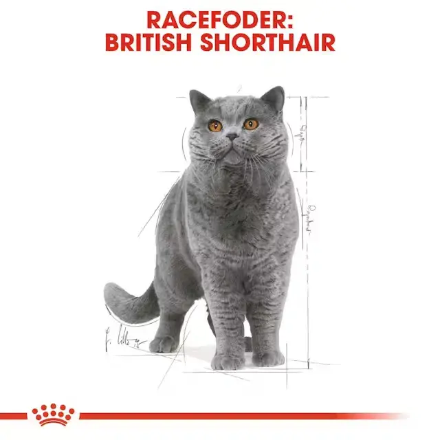 Royal Canin KAT British Shorthair Adult vådfoder 12x85 g
