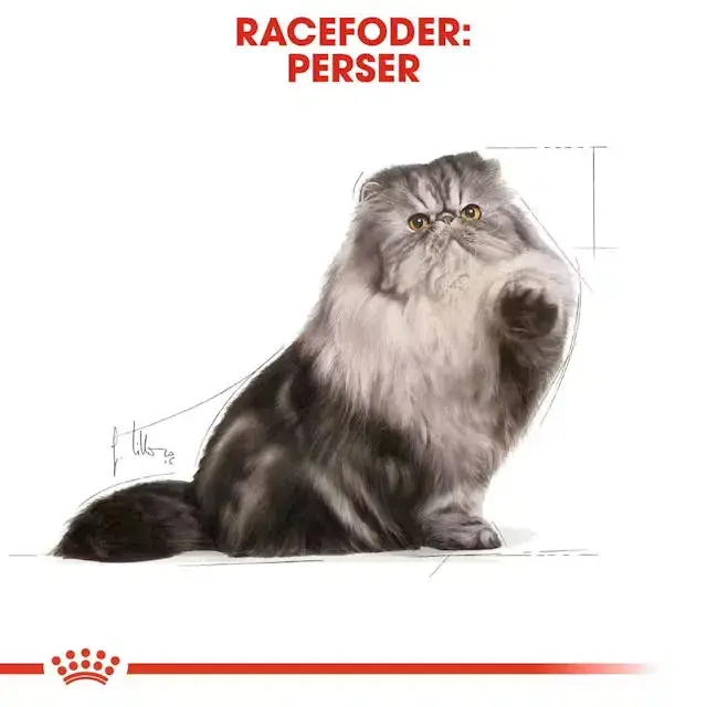 Royal Canin KAT Persian Adult vådfoder 12x85 g
