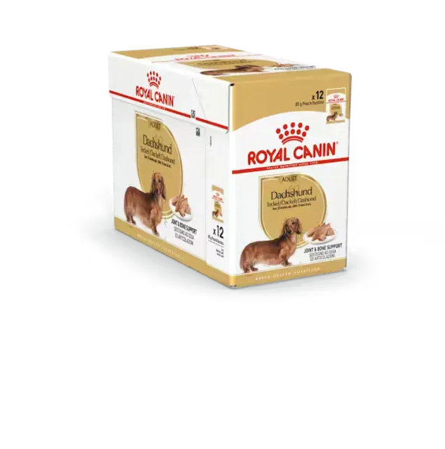 Royal Canin Dachshund Adult vådfoder 12x85 g