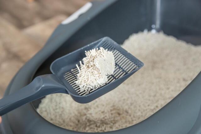 Trixie Tofu Kattegrus, 100 % plantebaseret, 4.5 kg