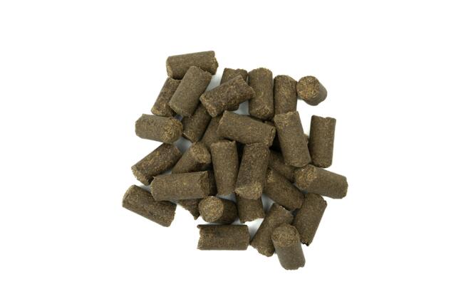 Hestegodbidder Lakrids 1000 gr.