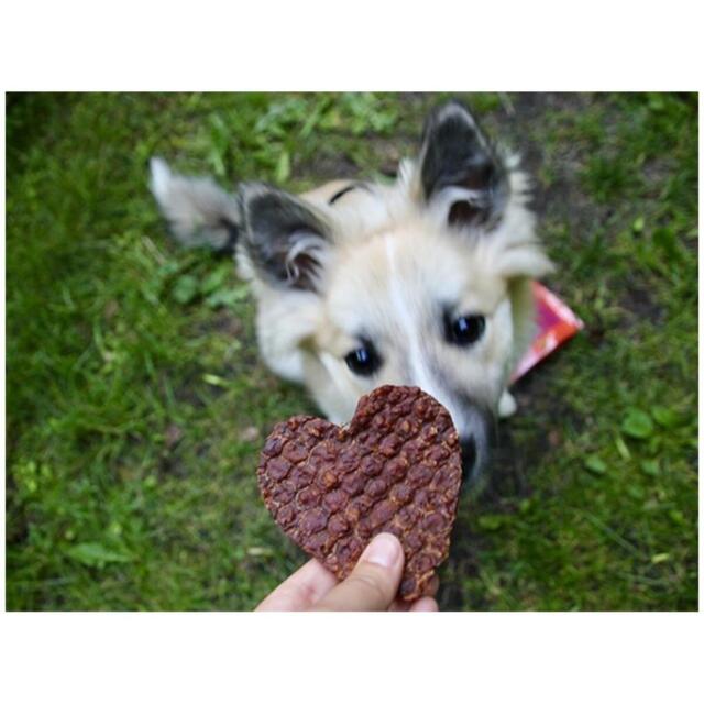 Woolf Hearts of Duck or Chicken with Rice, 100 g