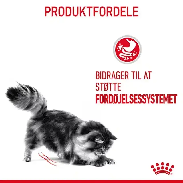 FRAGTSKADE - Royal Canin Digestive Care Adult tørfoder til kat 10 kg - FRAGTSKADET SÆK, INDHOLD OK