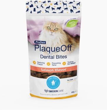PlaqueOff Dental Bites Kat, Salmon - 60 g