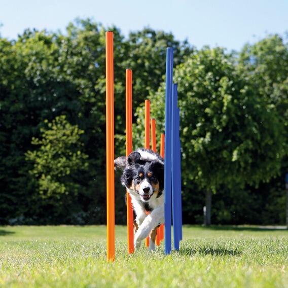 Agility slalom forhindringer 12 stk. - BEMÆRK: TRANSPORTSKADE PÅ EMBALLAGEPOSEN OG SMÅ RIDSER PÅ FÅ STÆNGER