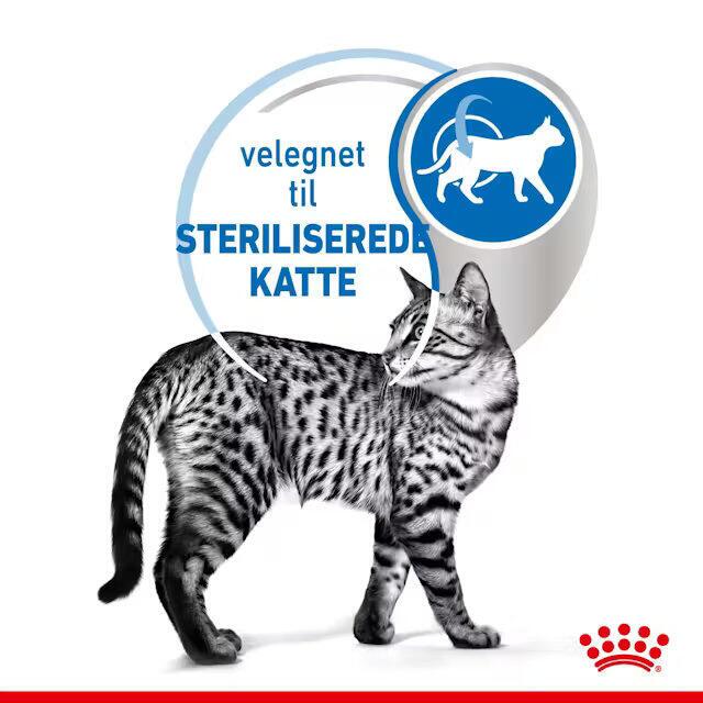 FRAGTSKADET YDERKASSE - Royal Canin KAT Sterilised Indoor Gravy vådfoder 12x85 g
