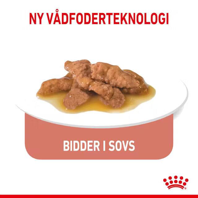 FRAGTSKADET YDERKASSE - Royal Canin KAT Sterilised Indoor Gravy vådfoder 12x85 g