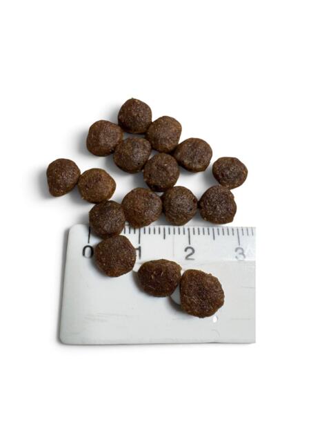 400 g Four Friends Grain Free Small Breed Adult Salmon