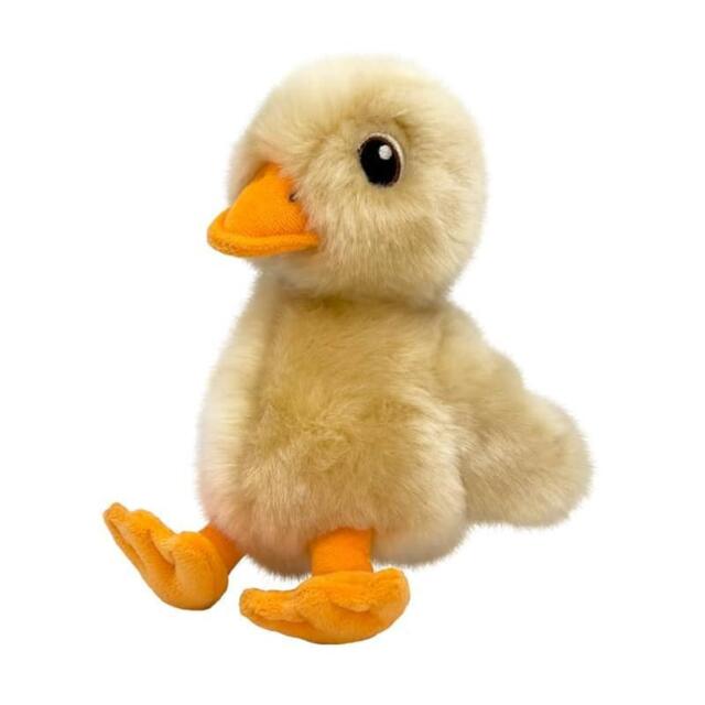 KONG Toughz Duck Md