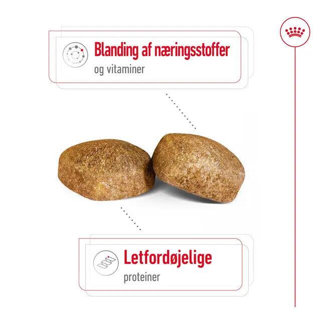 FRAGTSKADE - Royal Canin GIANT Adult 15 kg - FRAGTSKADET SÆK, INDHOLD OK