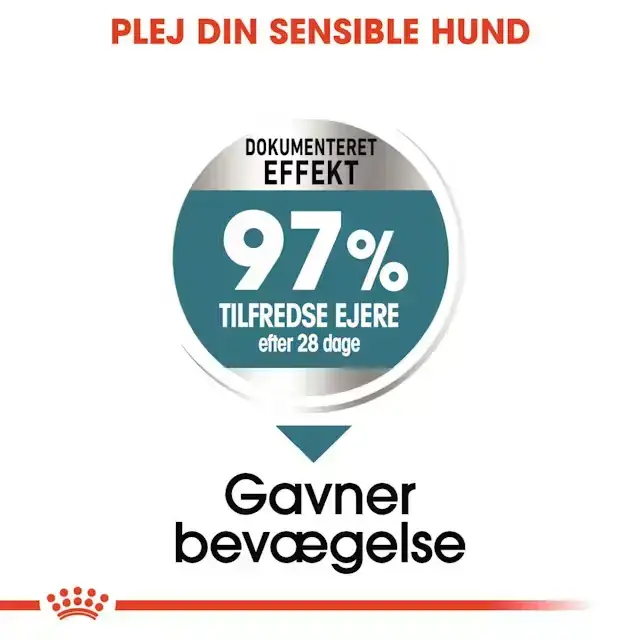 FRAGTSKADE - Royal Canin Joint Care Maxi Adult tørfoder til hund 10 kg - FRAGTSKADET SÆK, INDHOLD OK