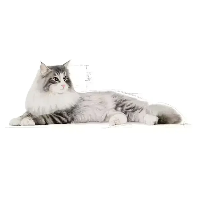2 kg Royal Canin Norwegian Forest Cat / Norsk Skovkat Adult