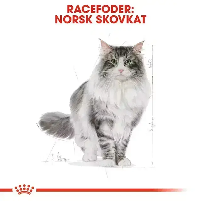 2 kg Royal Canin Norwegian Forest Cat / Norsk Skovkat Adult
