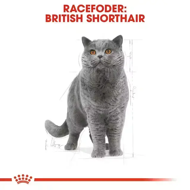 2 kg Royal Canin Kat British Shorthair Adult