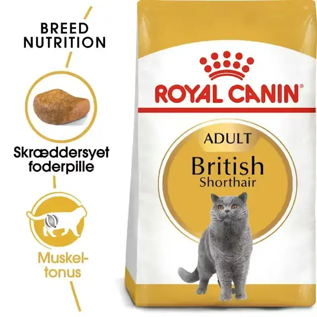 2 kg Royal Canin Kat British Shorthair Adult