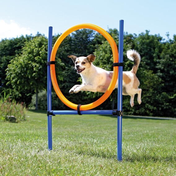 Agility ring