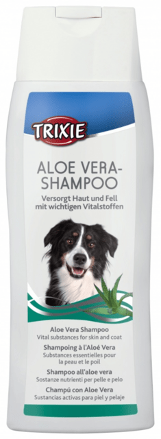 Shampoo  aloe vera