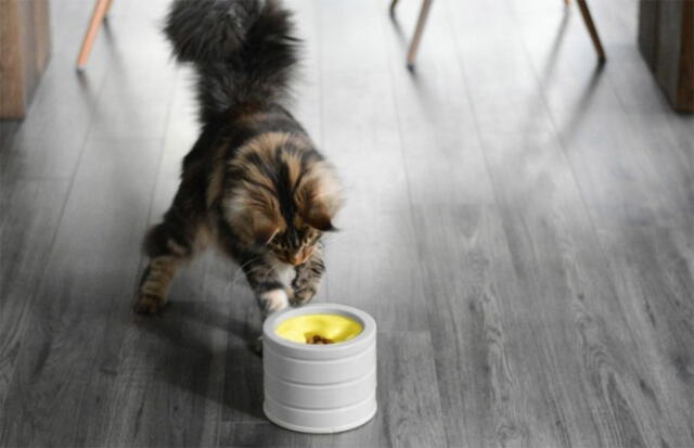 BOB intelligent foderskål til katte