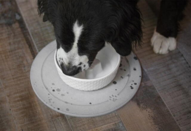 BOB Cooling Bowl til hund - Slowfeed/køling skål
