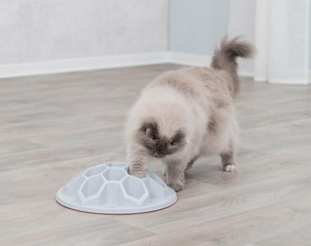 Cat Activity Snack Bistade, XXL Strategi - Slowfeed