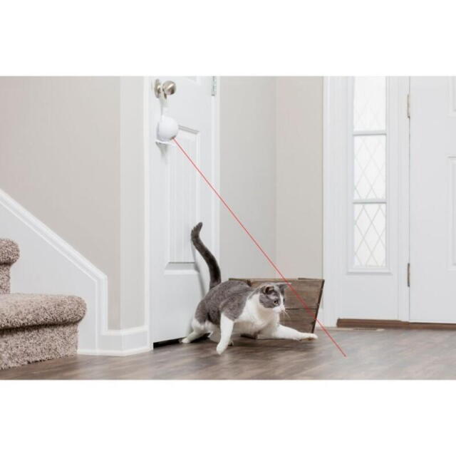 Dancing Dot Laser legetøj kat, til bord eller dørhåndtag