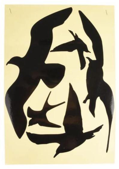 Rovfugle silhuetter - 5 stk Fugle