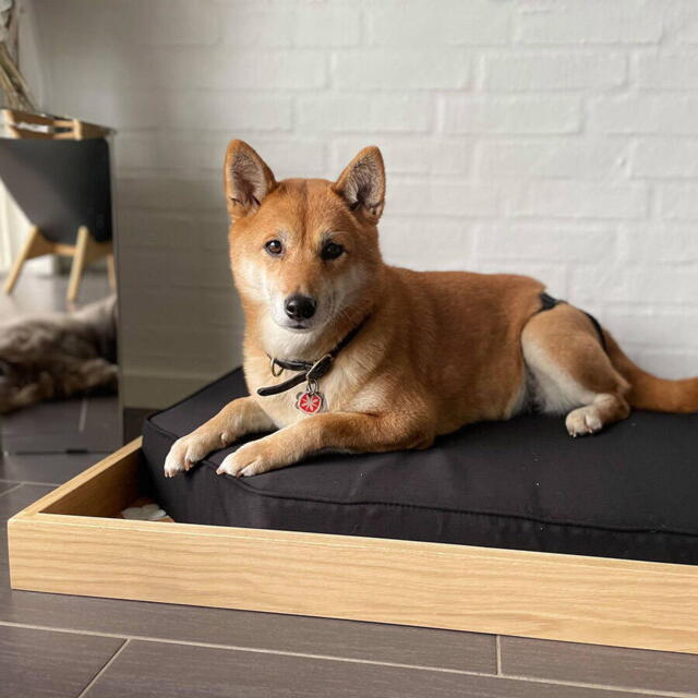 Hello Pets hundeseng – luksus design med stil - RESTSTØRRELSER